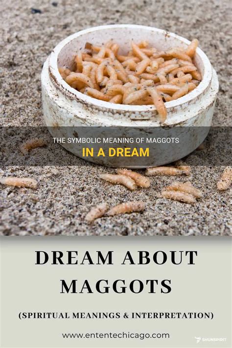 The Symbolic Meaning of Dreams Associated with Maggots Overrunning the Sleeping Space