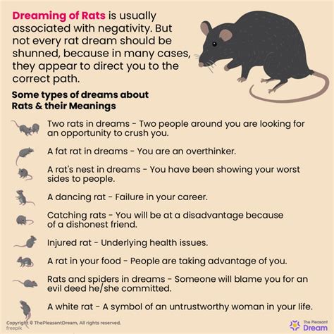 The Symbolic Meaning of Rats in Dreams