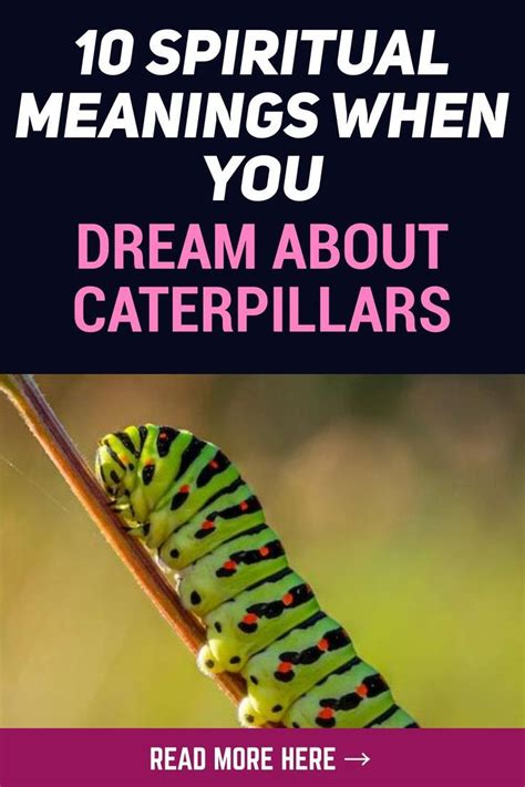 The Symbolic Meaning of the Caterpillar in Dreams