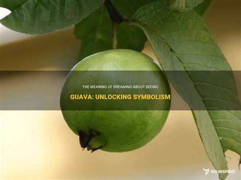 The Symbolic Meaning of the Guava Tree in Dreams