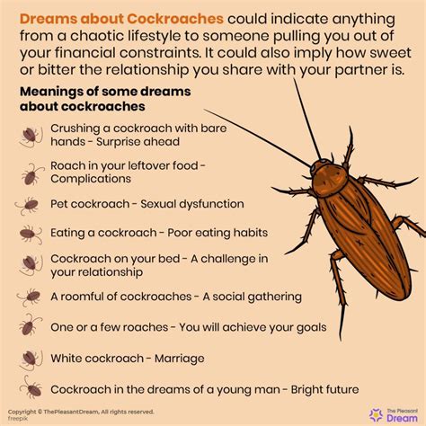 The Symbolic Meanings of Cockroaches in Our Dreams