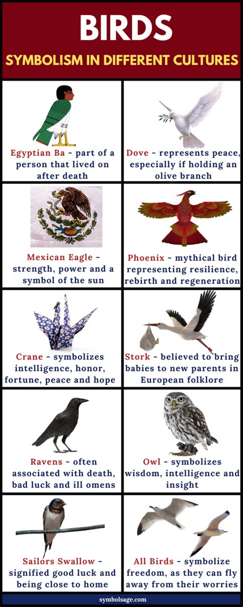 The Symbolic Meanings of Various Bird Hues in One's Reveries