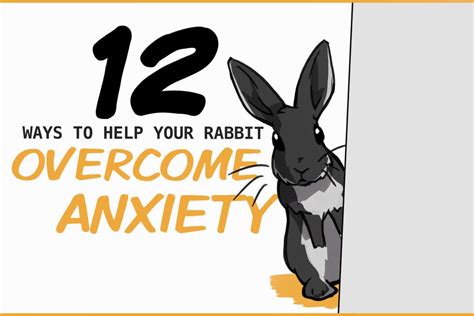 The Symbolic Power of an Anxious Bunny