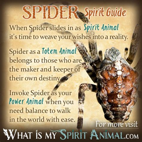 The Symbolic Power of the Spider in Dreams