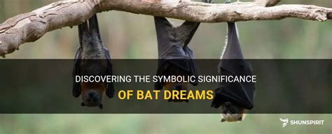 The Symbolic Significance of Bat Dreams