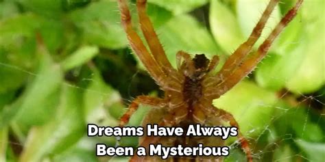 The Symbolic Significance of Currency Arachnids in Dreams