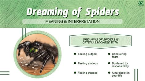 The Symbolic Significance of Dreams Involving Arachnids