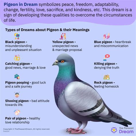 The Symbolic Significance of Embracing a Pigeon in Dreams