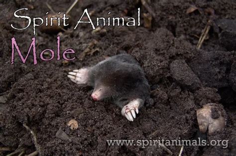 The Symbolic Significance of Moles in Dreams