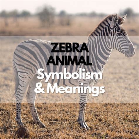 The Symbolic Significance of Zebras in One's Subconscious