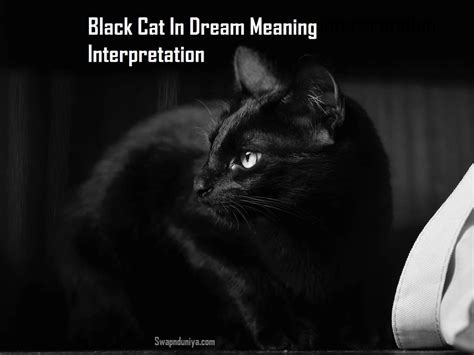 The Symbolic Significance of a Feline Preying on an Avian Creature in Dreams