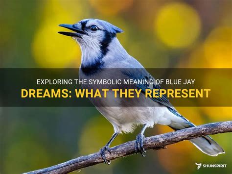 The Symbolic Significance of a Jaybird in Dreams