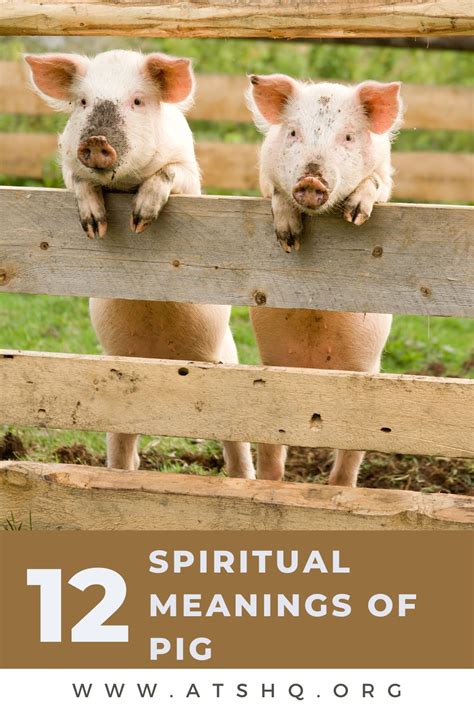 The Symbolic Significance of a Sprinting Swine