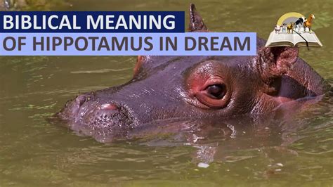 The Symbolism Behind Consuming Hippopotamus in Dreams