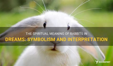 The Symbolism and Interpretation of Rabbit Dreams