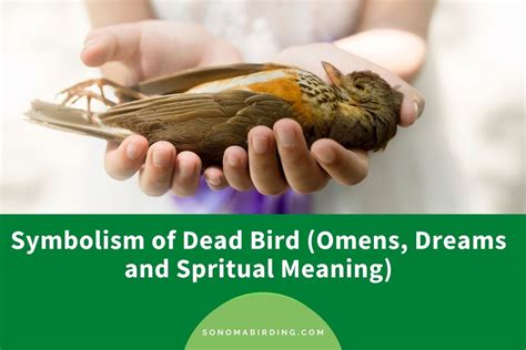 The Symbolism of Avian Creatures in Dream Visions