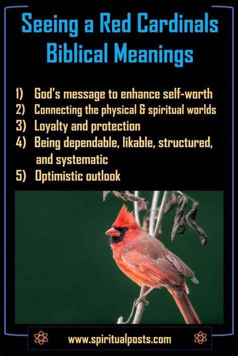 The Symbolism of Cardinals in Dreams
