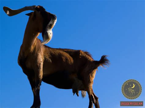 The Symbolism of Dreams: Decoding the Significance Behind Taking the Lives of Goats