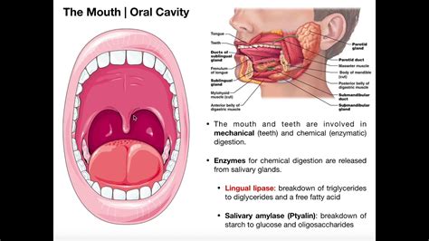 The Symbolism of Experiencing Emerge of Thread from One's Oral Cavity