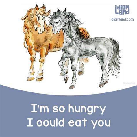 The Symbolism of Hunger in Horse Imagery