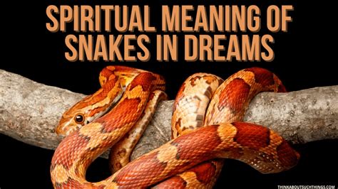 The Symbolism of Serpents in Dreams