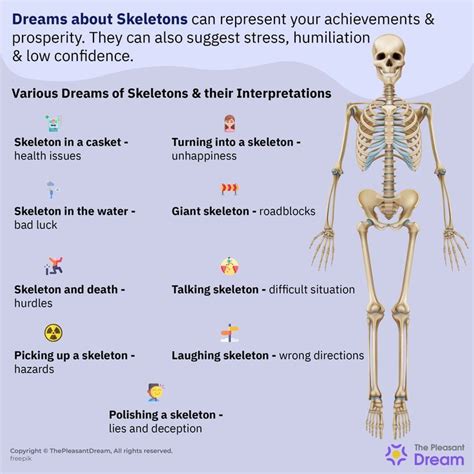 The Symbolism of Skeletons in Dreams and its Psychological Significance