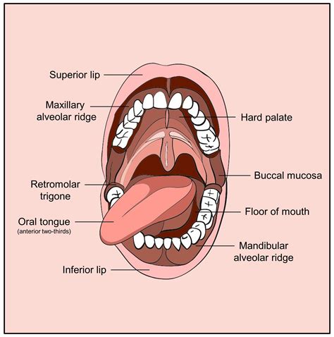 The Symbolism of String Emerging from the Oral Cavity in Various Cultures