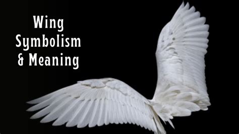 The Symbolism of White Wings in Various Cultural Perspectives