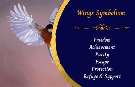 The Symbolism of Wings
