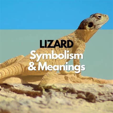 The Symbolism of a Dying Lizard: Ancient Beliefs and Meanings