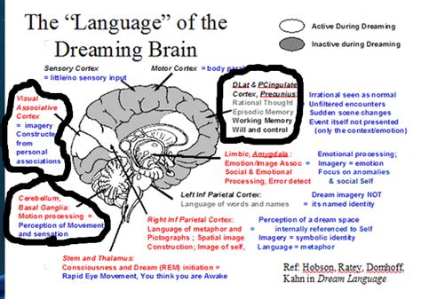 The Symbolism of the Frontal Area in Dreams