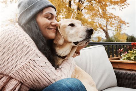 The Therapeutic Effects of Dog Smooches: Exploring the Emotional Advantages of Canine Companionship