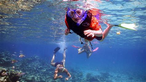 The Thrill of Aquatic Activities: Plunge into Excitement and High-Octane Action