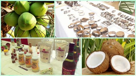 The Thriving Coconut Market: Opportunities and Challenges