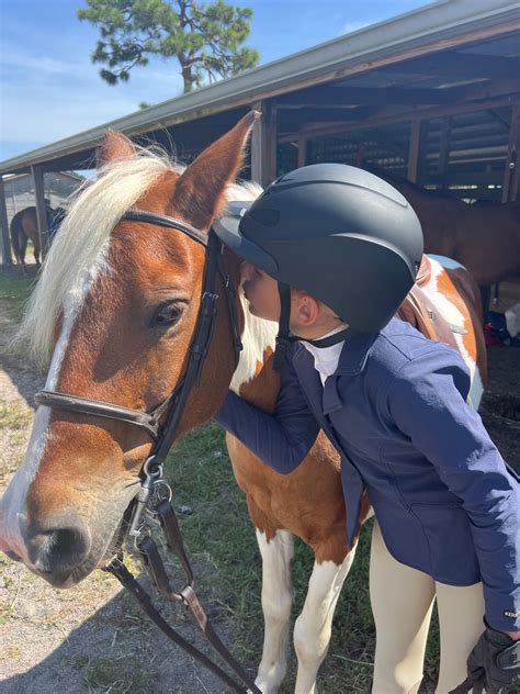 The Ultimate Bond: Building Trust and Deepening Connections with Your Equine Companion