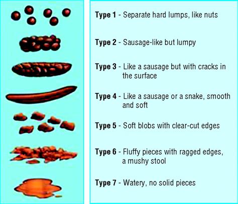 The Undisclosed Significance of Coming into Contact with Excrement