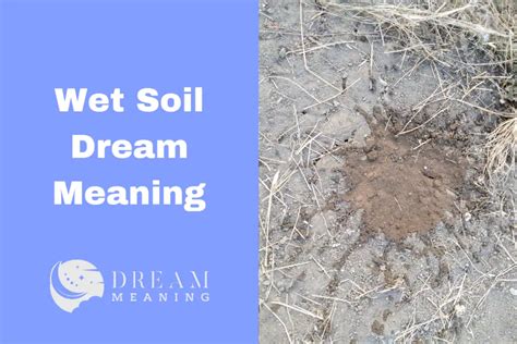 The Unexpected Significance of Soil in Dream Interpretation