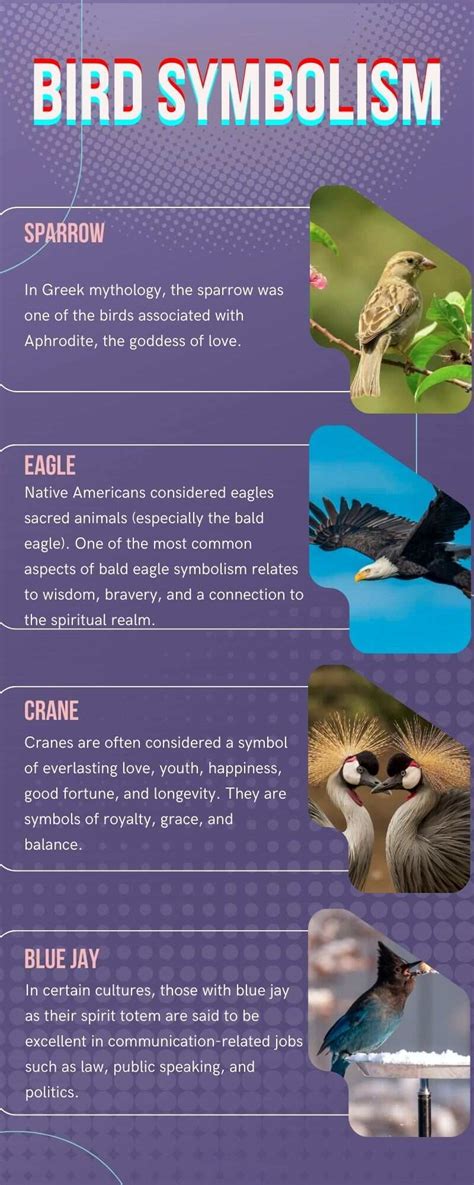 The Various Categories of Avian Fantasy and their Symbolic Significances