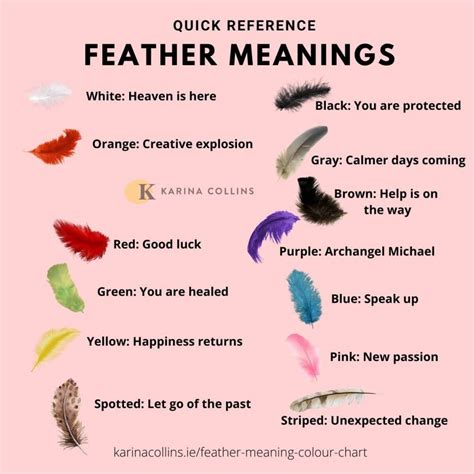 The Various Types of Plumage and Their Symbolism