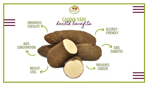 The Versatility and Nutritional Benefits of Exquisite Yams