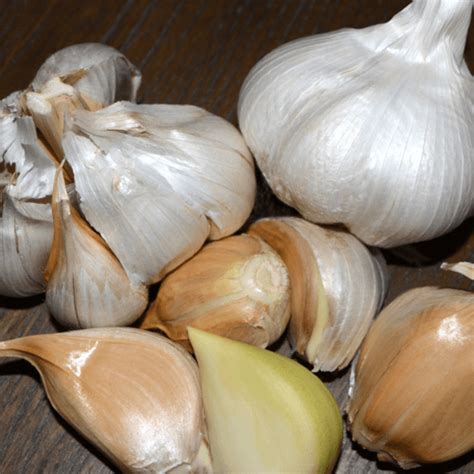 The Versatility of Garlic in the Culinary World