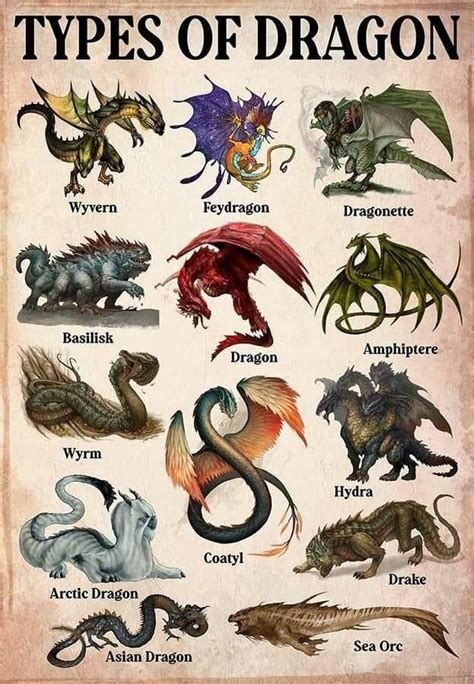 The Vibrant Universe of Dragons: Encouraging Variety and Embracing Differences