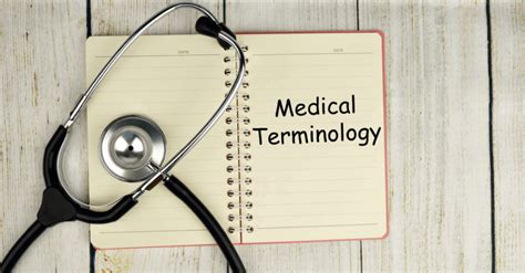 The Vital Role of Medical Terminology in the Healthcare Field