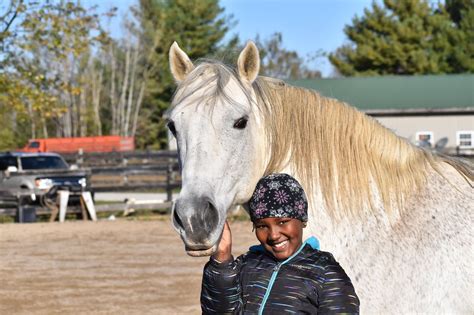 The Weary Equine as a Reflection of Personal Challenges 