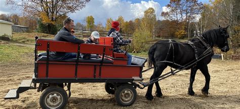 The advantages of wagon riding as a leisure activity