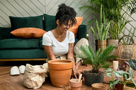 Therapeutic Benefits: Understanding the Psychological Impact of Indoor Greenery