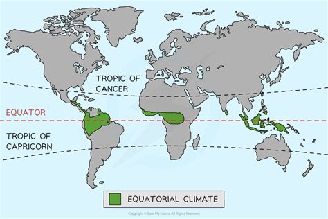 Thriving Ecosystems in Equatorial Regions