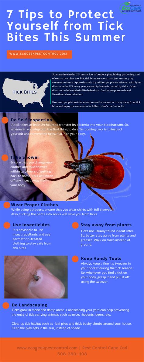 Tick prevention strategies: Protecting yourself and your loved ones