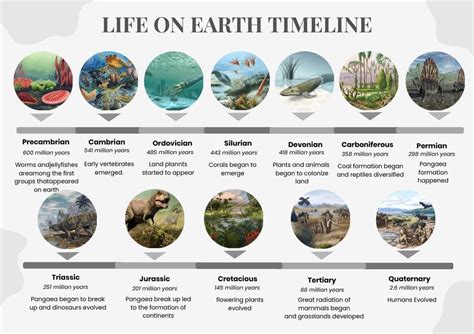 Time Spent on Earth, Elevation, and Initial Occupation