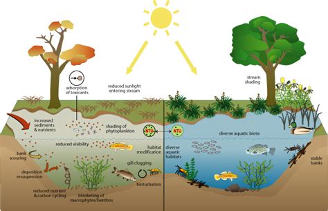 Tips and Insights for Navigating Turbid Aquatic Environments